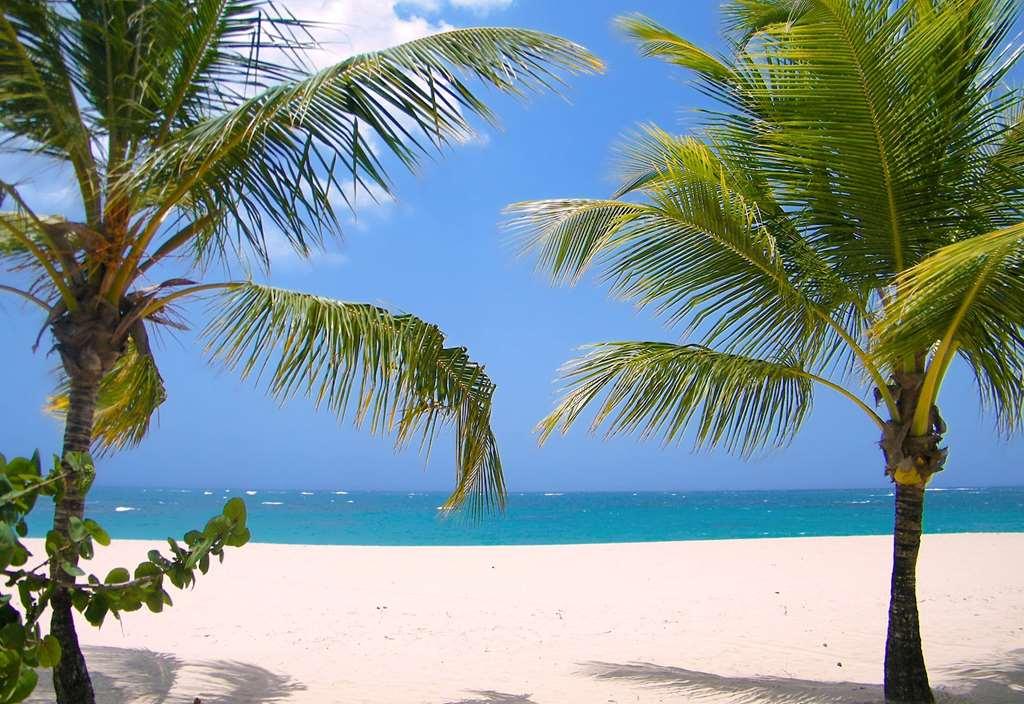 Viva Heavens By Wyndham, A Trademark All Inclusive (Adults Only) Puerto Plata Natură foto